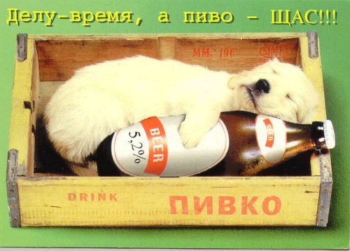 -  www.RzhuNeMogu.ru  31609