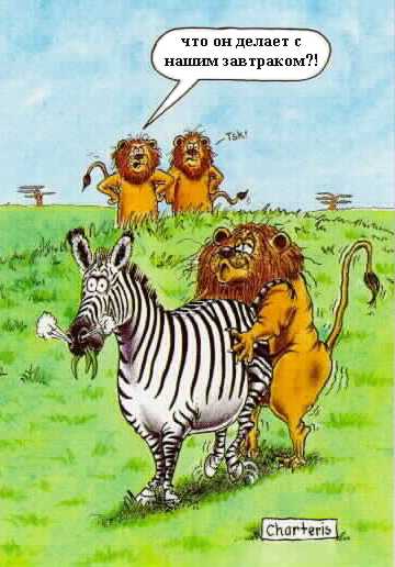 -  www.RzhuNeMogu.ru  31647