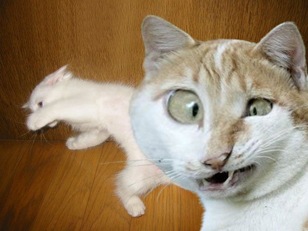 -  www.RzhuNeMogu.ru  31666