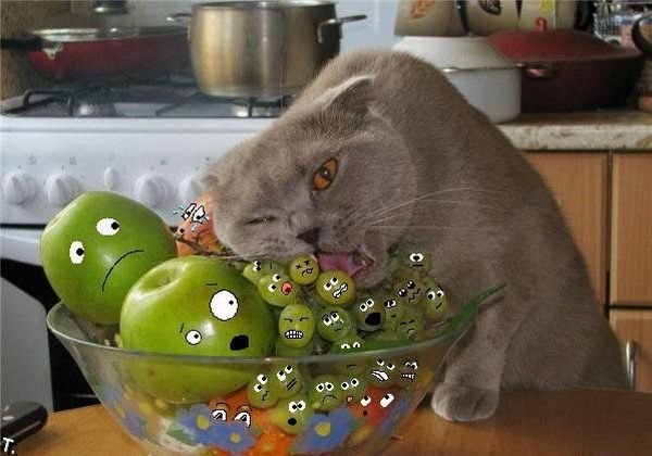 -  www.RzhuNeMogu.ru  34641