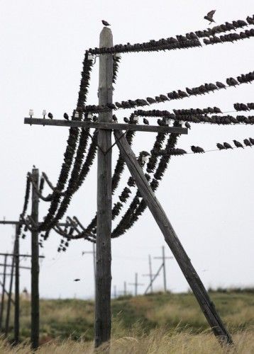 -  www.RzhuNeMogu.ru  46898