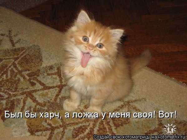 -  www.RzhuNeMogu.ru  47068