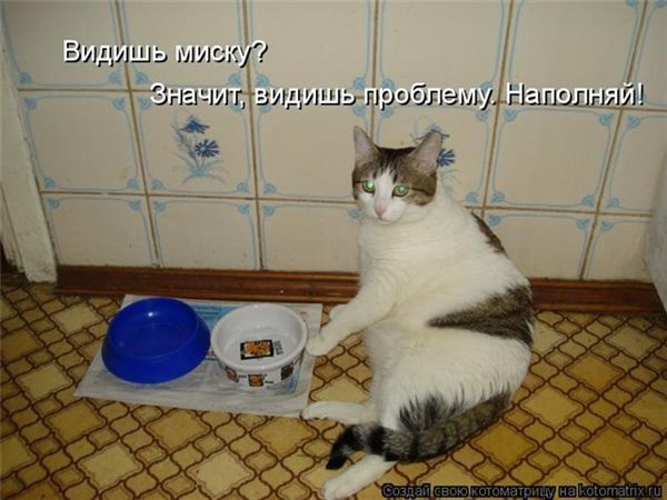 -  www.RzhuNeMogu.ru  47484