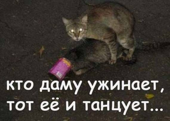 -  www.RzhuNeMogu.ru  47559