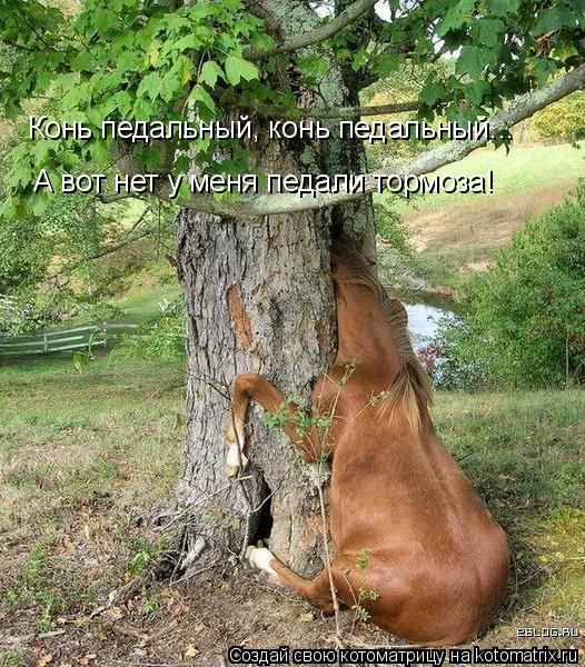 -  www.RzhuNeMogu.ru  48226