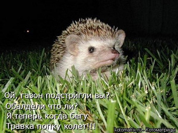 -  www.RzhuNeMogu.ru  48227