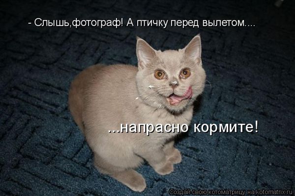 -  www.RzhuNeMogu.ru  48228