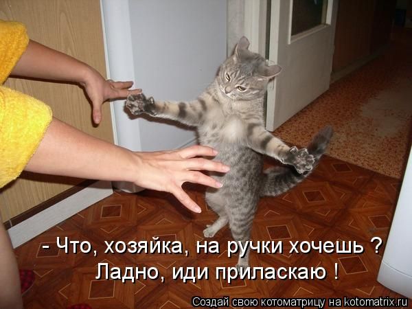 -  www.RzhuNeMogu.ru  48229