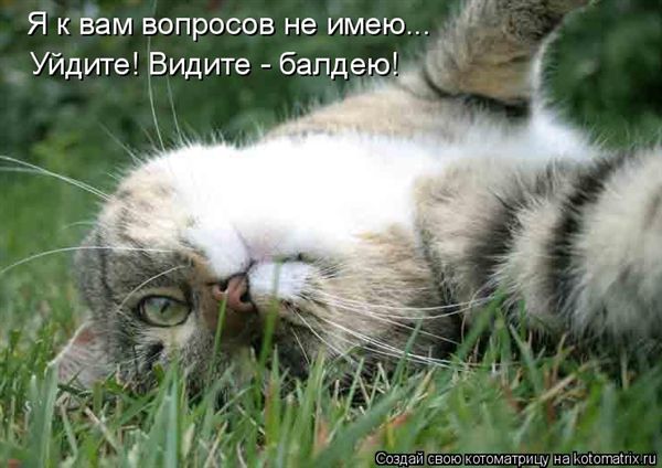 -  www.RzhuNeMogu.ru  48230