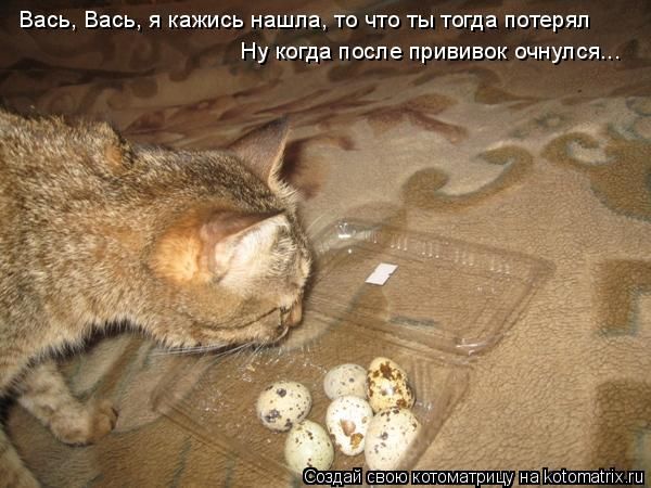 -  www.RzhuNeMogu.ru  48233