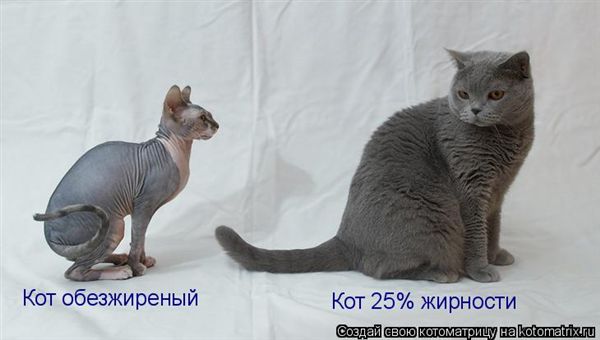 -  www.RzhuNeMogu.ru  48234