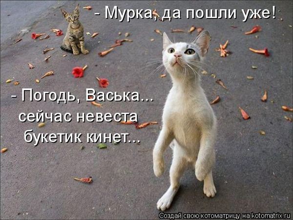 -  www.RzhuNeMogu.ru  48238