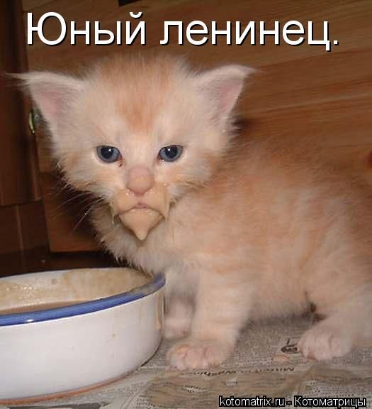 -  www.RzhuNeMogu.ru  48239