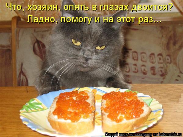 -  www.RzhuNeMogu.ru  48240